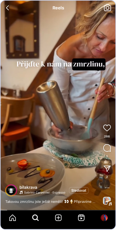 Ukázka správného formátu příspěvků